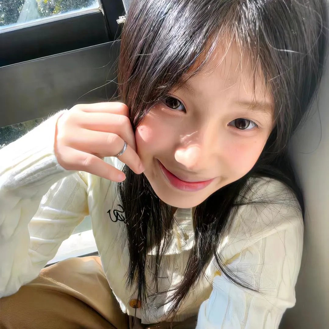冒牌总统免费在线观看
