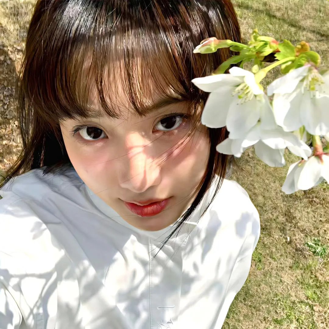 妄想学生会 剧场版免费在线观看